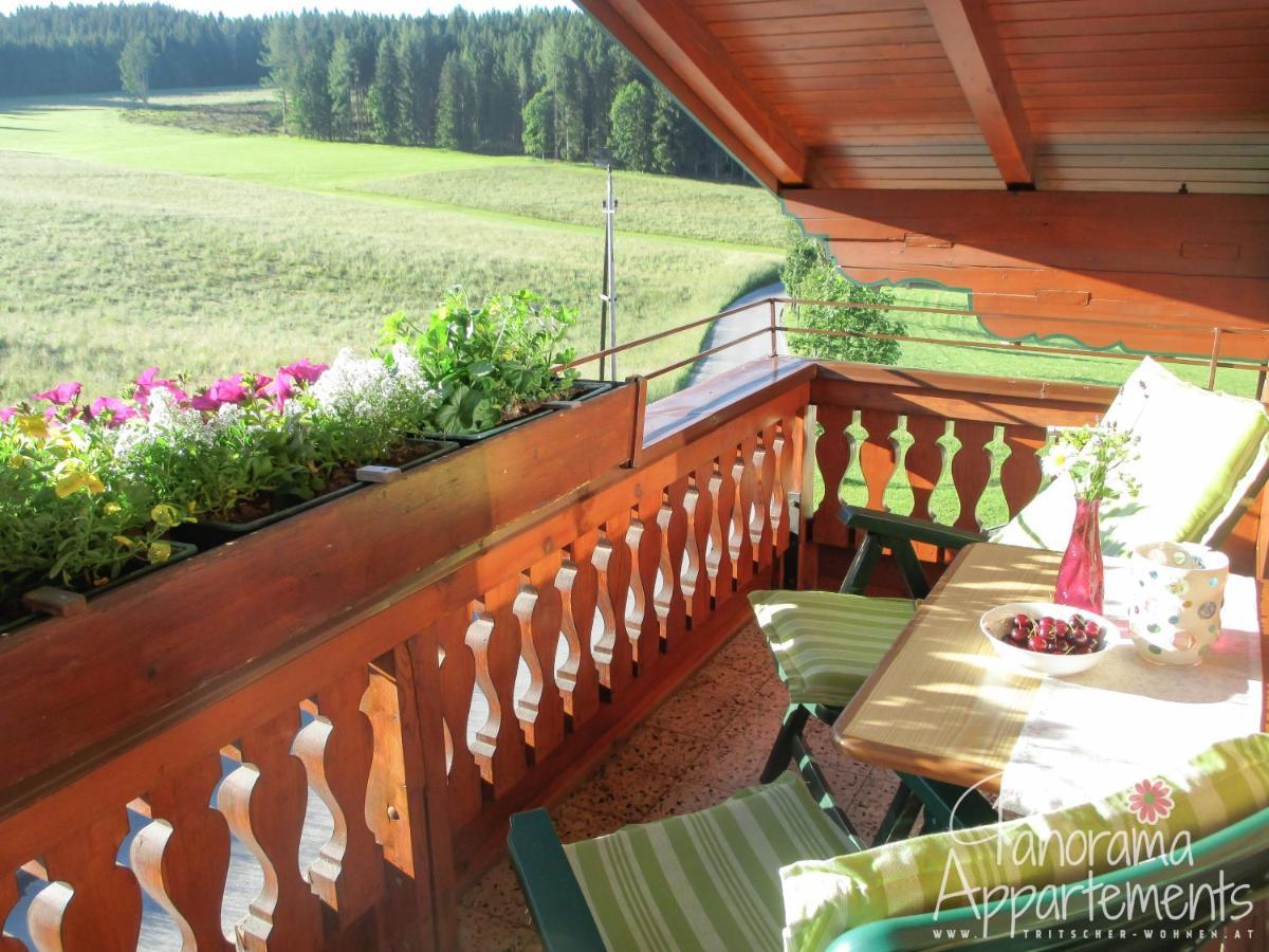Panorama Appartement Ramsau am Dachstein Exterior photo